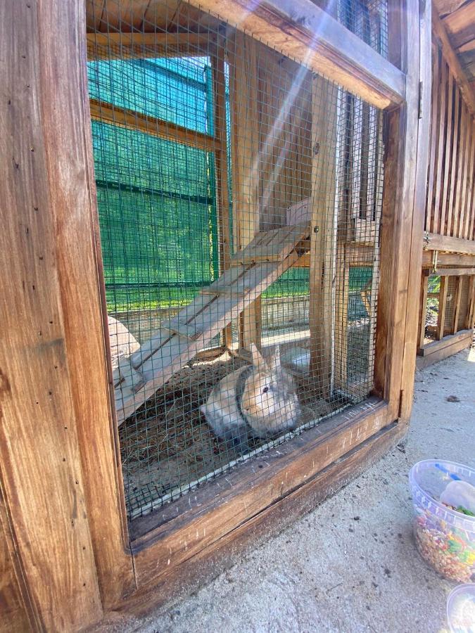 Appartement Letnia Oaza "Akacja" à Sobienie Jeziory Extérieur photo